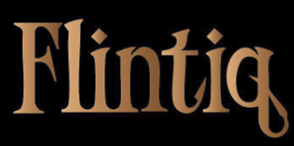Flintiq logo