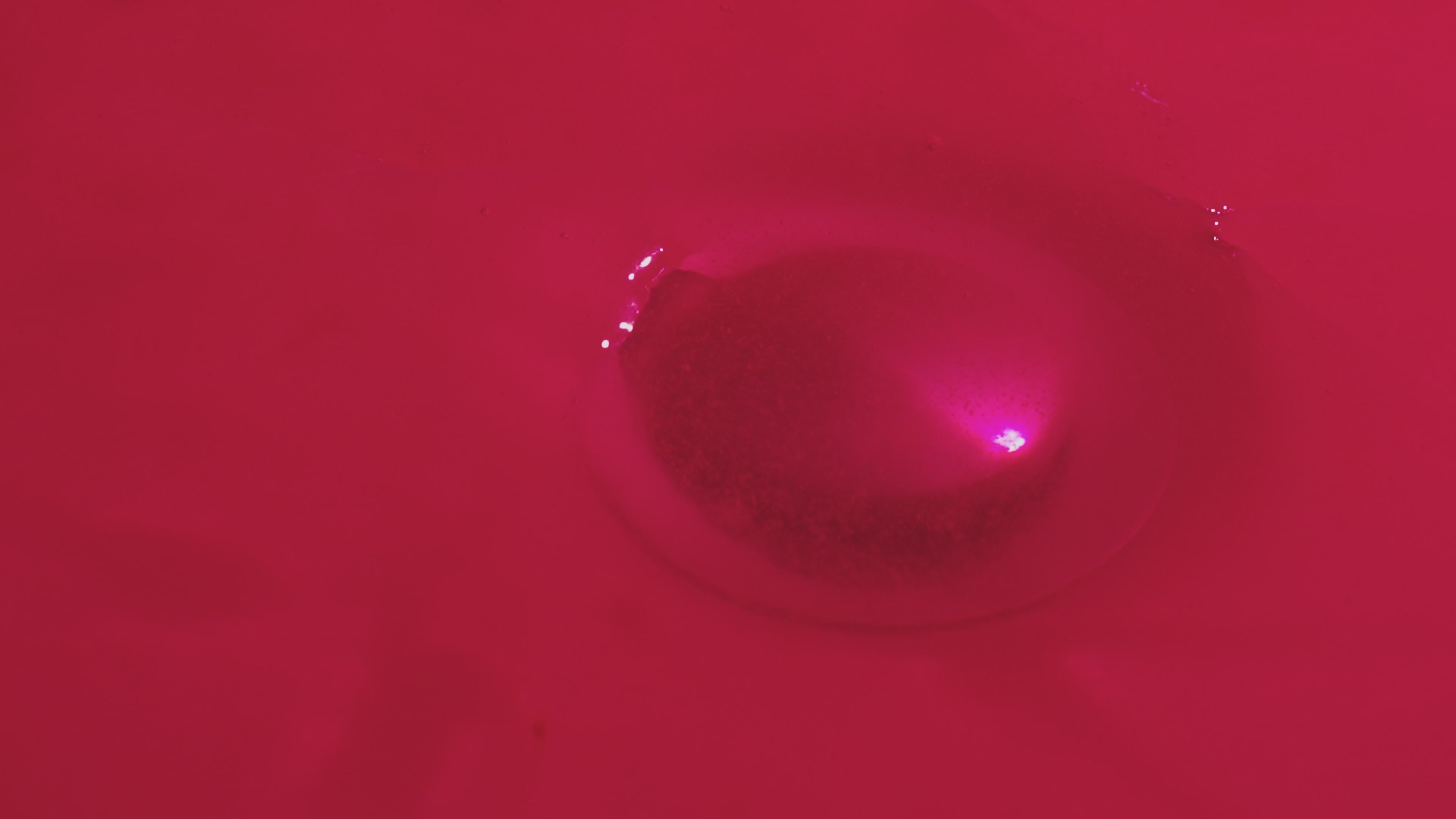 動画を読み込む5